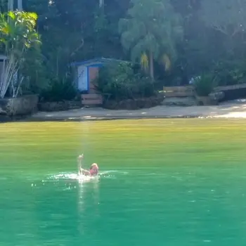 Ilha Grande – Do Rio de Janeiro: Tour de Abraão até a Praia de Lopes Mendes. Passeio em Praias e Trilha